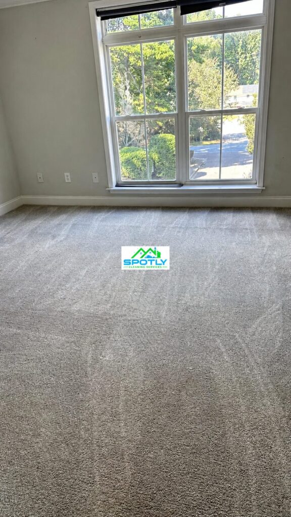 Spotly cleaning: Carpet Room